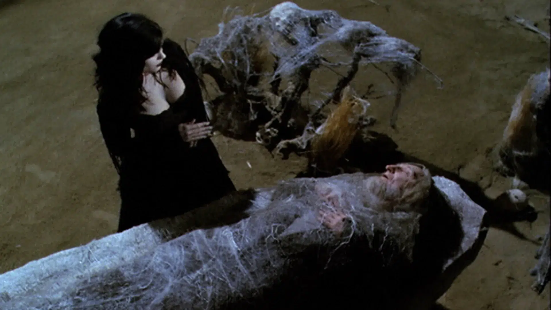 Nella tela del ragno